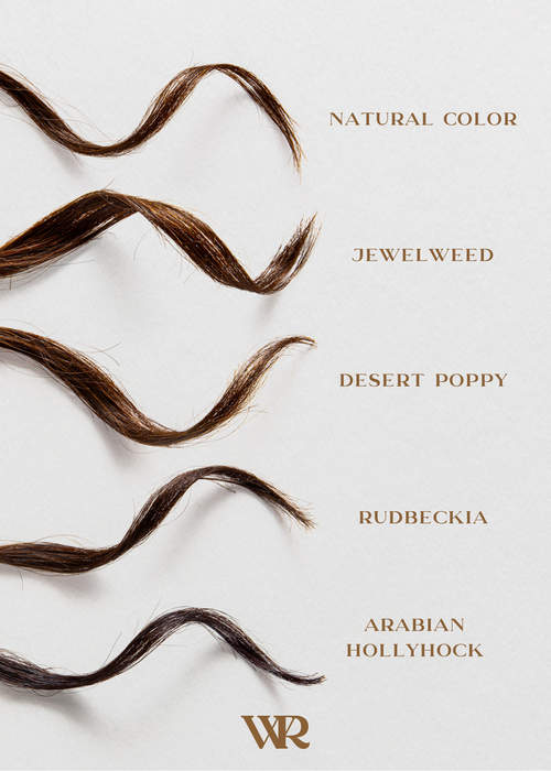 Rudbeckia | Dark Brunette | Flower Hair Color Powder